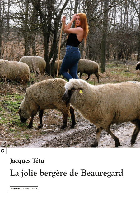 media/ebook/11772967_image_type_product_shot_VIVLIO_1_FR
