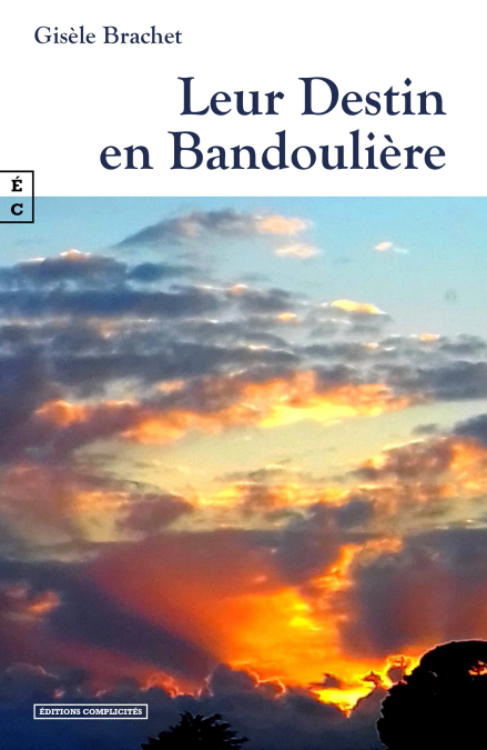 media/ebook/11786470_image_type_product_shot_VIVLIO_1_FR