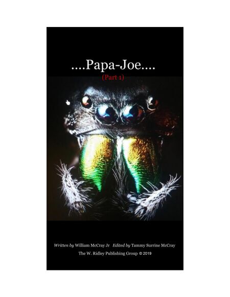 media/ebook/11817561_1gf7ptku_0