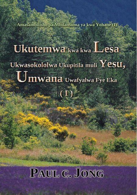 media/ebook/11818014_umezem6u_0