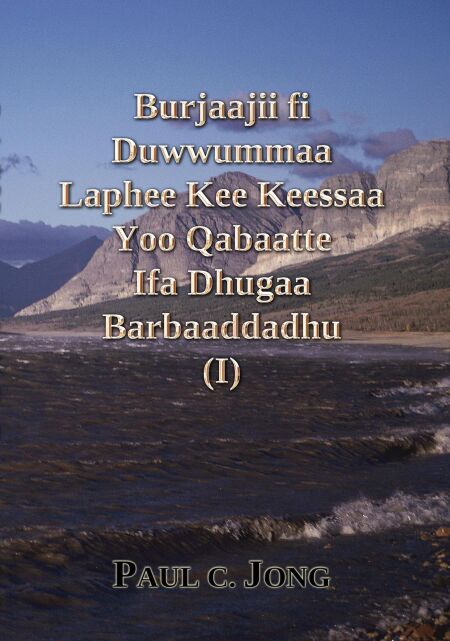 media/ebook/11818259_18vv49ld_0
