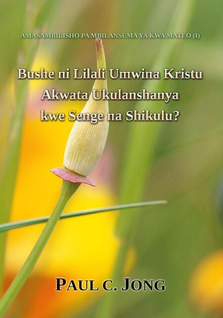 media/ebook/11818330_mah0qxmf_0