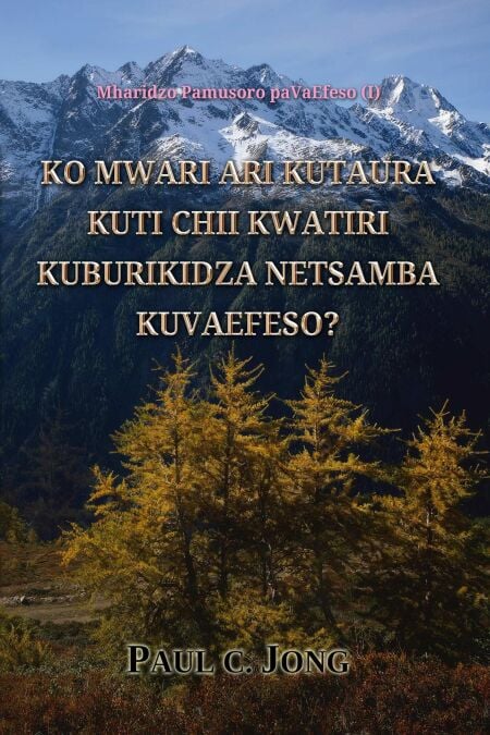 media/ebook/11818552_mr1wy3dq_0