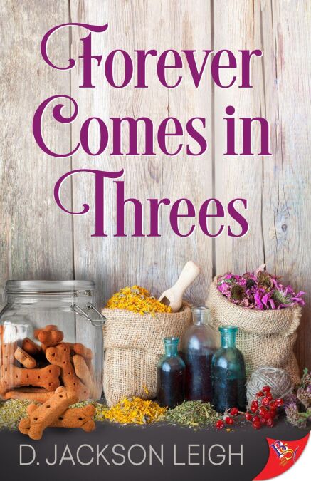 media/ebook/11822403_9iks5zsg_0