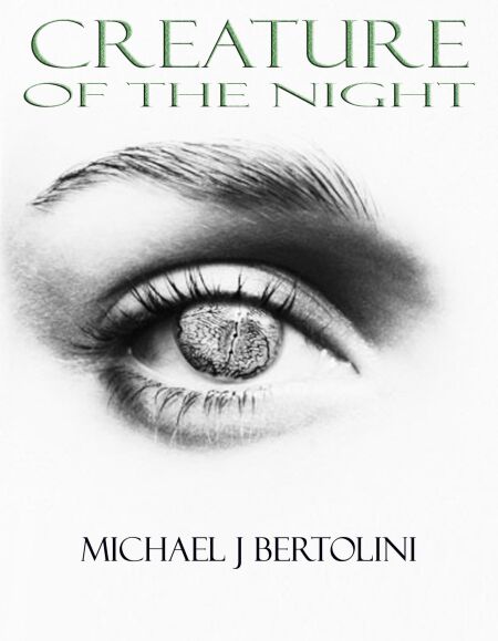 media/ebook/11844599_1h3lkpzq_0