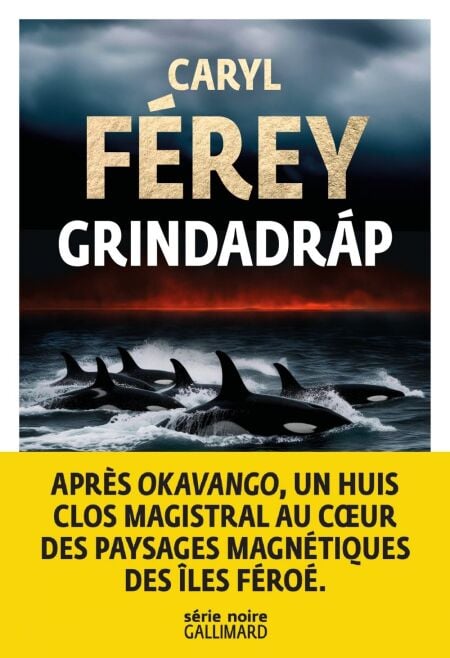 media/ebook/11871027_image_type_product_shot_VIVLIO_1_FR