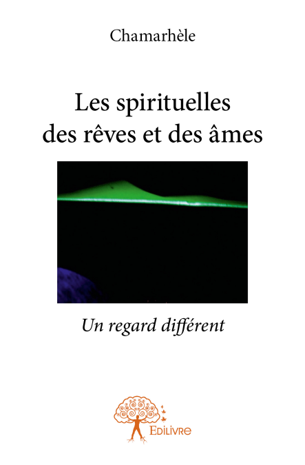 media/ebook/11877969_image_type_product_shot_VIVLIO_1_FR
