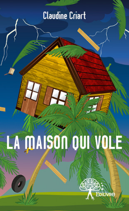 media/ebook/11878188_image_type_product_shot_VIVLIO_1_FR