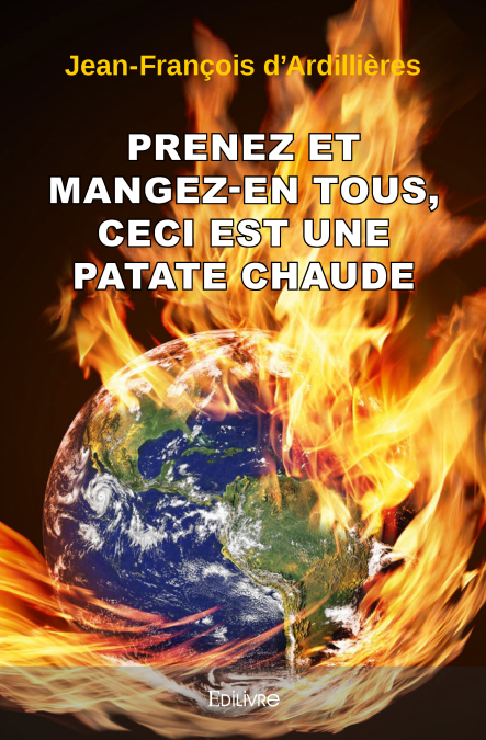media/ebook/11879596_image_type_product_shot_VIVLIO_1_FR