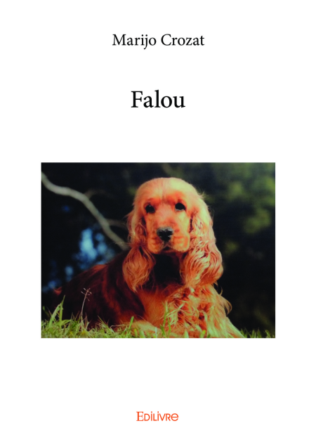 media/ebook/11879815_image_type_product_shot_VIVLIO_1_FR