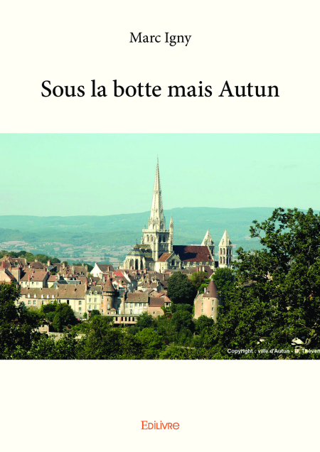 media/ebook/11879969_image_type_product_shot_VIVLIO_1_FR