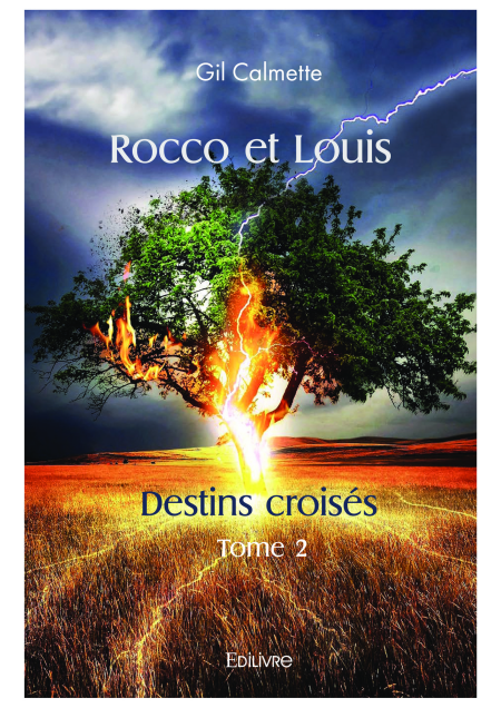 media/ebook/11879994_image_type_product_shot_VIVLIO_1_FR