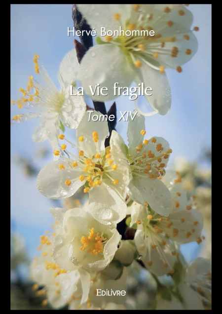 media/ebook/11880083_1cf1zvt6_0