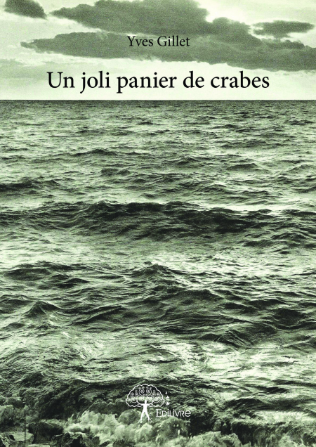 media/ebook/11880175_image_type_product_shot_VIVLIO_1_FR