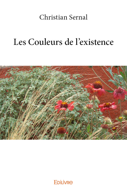 media/ebook/11880556_image_type_product_shot_VIVLIO_1_FR