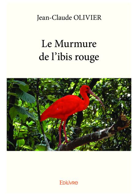 media/ebook/11880576_image_type_product_shot_VIVLIO_1_FR