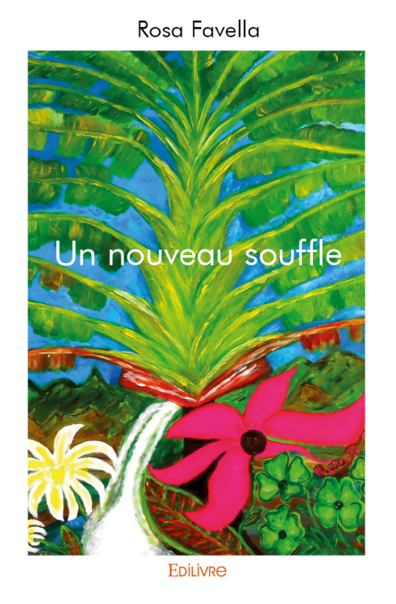media/ebook/11880619_image_type_product_shot_VIVLIO_1_FR