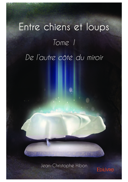media/ebook/11883220_image_type_product_shot_VIVLIO_1_FR