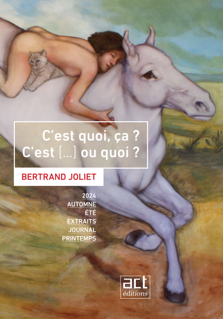 media/ebook/11903879_image_type_product_shot_VIVLIO_1_FR