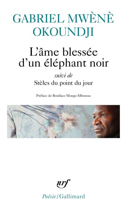 media/ebook/11910804_image_type_product_shot_VIVLIO_1_FR