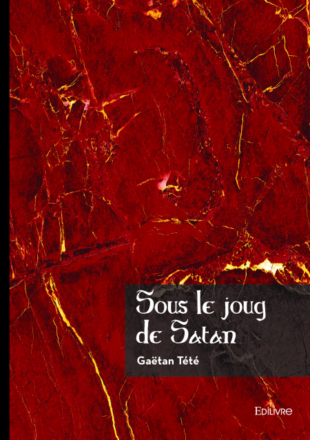 media/ebook/11967969_image_type_product_shot_VIVLIO_1_FR