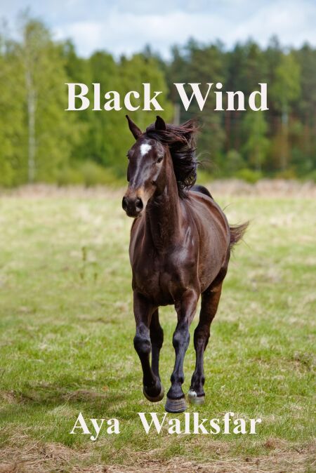 media/ebook/11995320_1g69s6wu_0