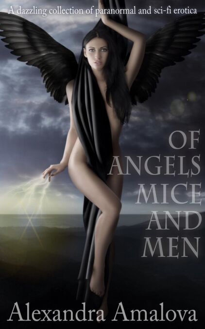 media/ebook/11995725_qkk2qs1q_0