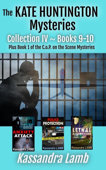 media/ebook/12099794_3evj99v9_0