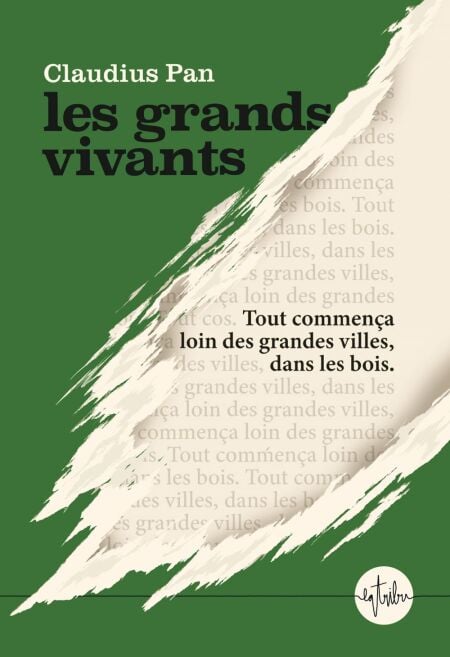 media/ebook/12121762_image_type_product_shot_VIVLIO_1_FR