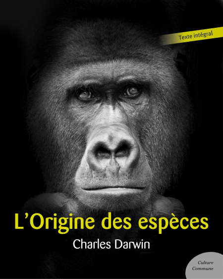 media/ebook/12136209_50jxtvtf_0