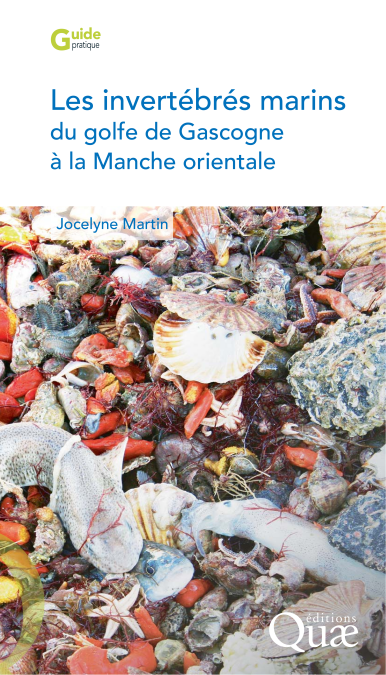 media/ebook/12137803_14o765a7_0