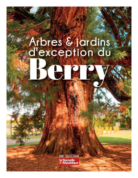 media/ebook/12167657_3s8emqk0_0
