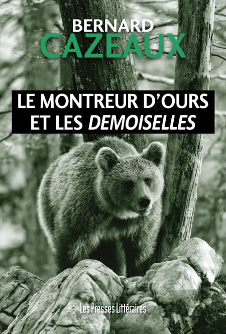 media/ebook/12167658_f3027ddx_0