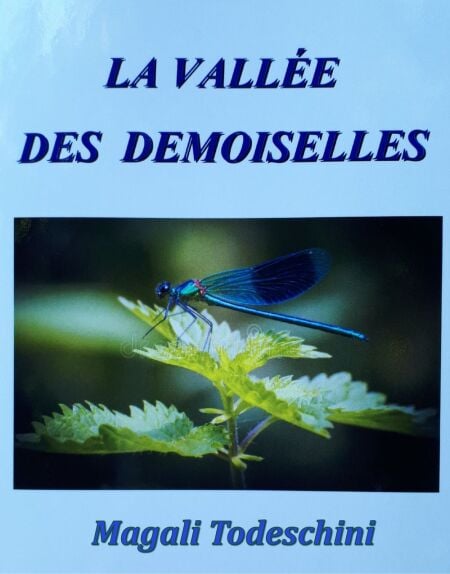 media/ebook/12177993_1aw2p6jz_0