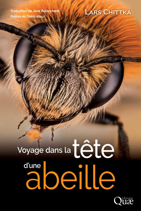 media/ebook/12193801_1o41a03x_0