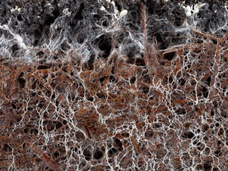 media/ebook/12277014_959f6k8c_0
