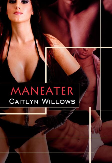 media/ebook/12295276_f9lgrt2i_0