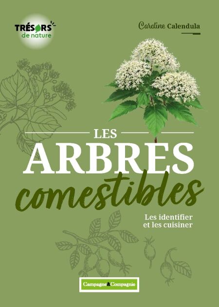 media/ebook/12336685_tg0697ha_0