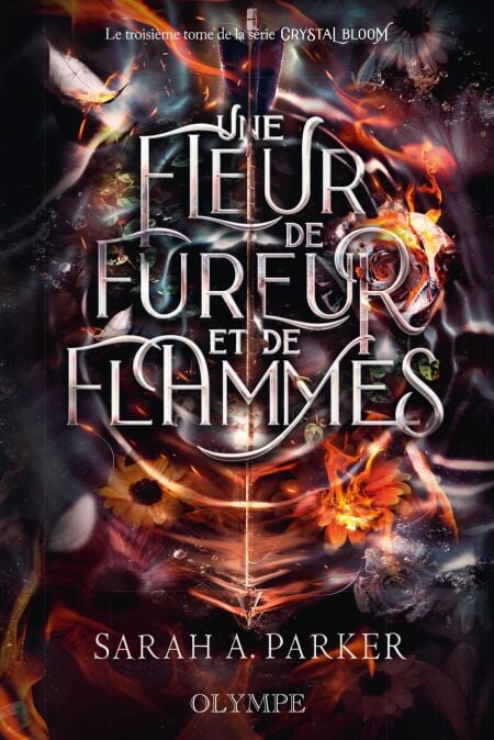 media/ebook/12452813_image_type_product_shot_VIVLIO_1_FR