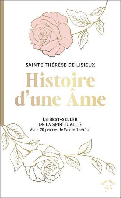 media/ebook/12496789_image_type_product_shot_VIVLIO_1_FR_53c00