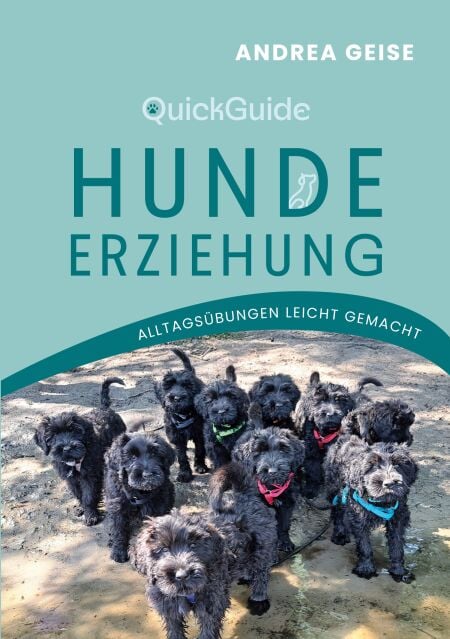 media/ebook/12516699_1noucl0f_0
