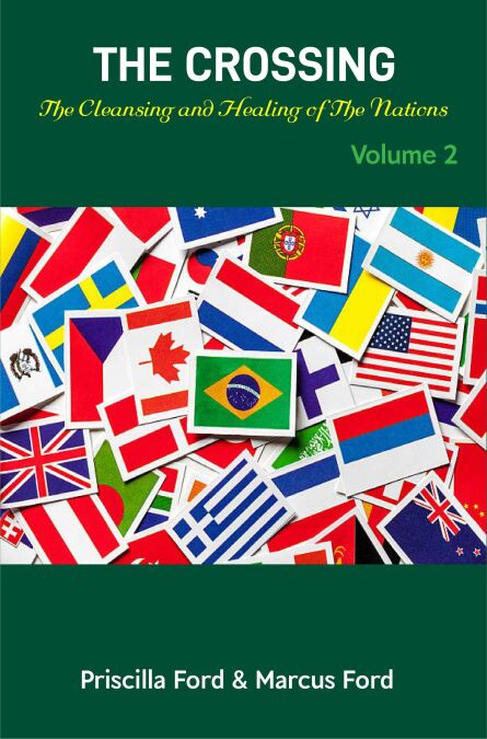 media/ebook/12722997_image_type_product_shot_VIVLIO_1_FR