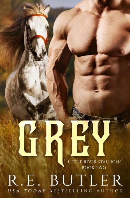 media/ebook/12755703_ye6gl4vh_0