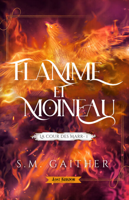 media/ebook/12791359_image_type_product_shot_VIVLIO_1_FR_ef4ef