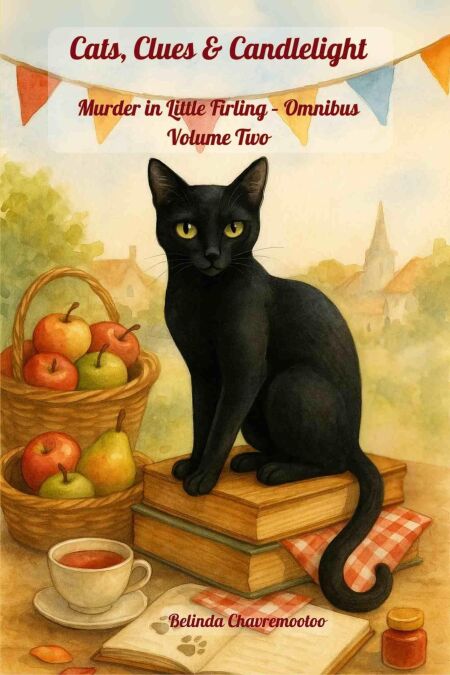media/ebook/12793652_image_type_product_shot_VIVLIO_1_FR