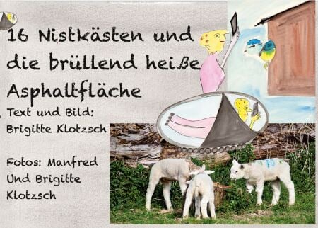media/ebook/12832569_m6gy4evo_0