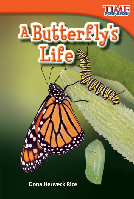 media/ebook/12843236_v5jb1r6s_0