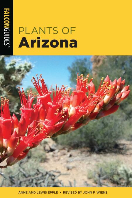 media/ebook/12844540_dc0wxb5e_0