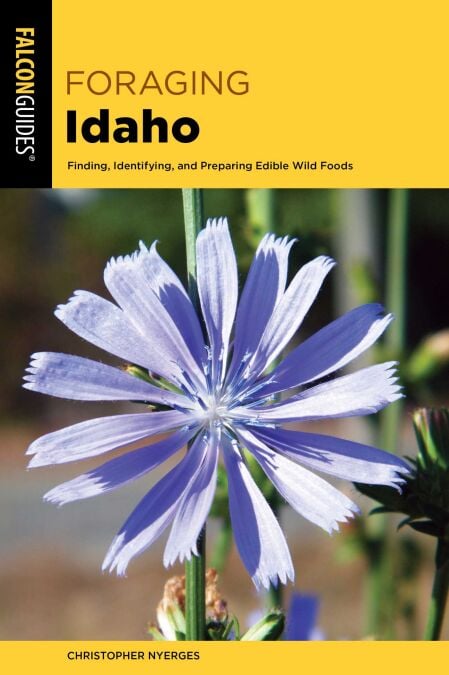media/ebook/12844591_c2eo3ru7_0