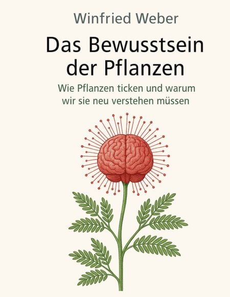 media/ebook/12849408_1topwwib_0